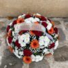 COUSSIN ROND - LUMINEUSE