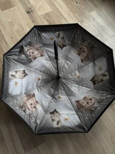 Parapluie inversé “CHAT & POISSON”