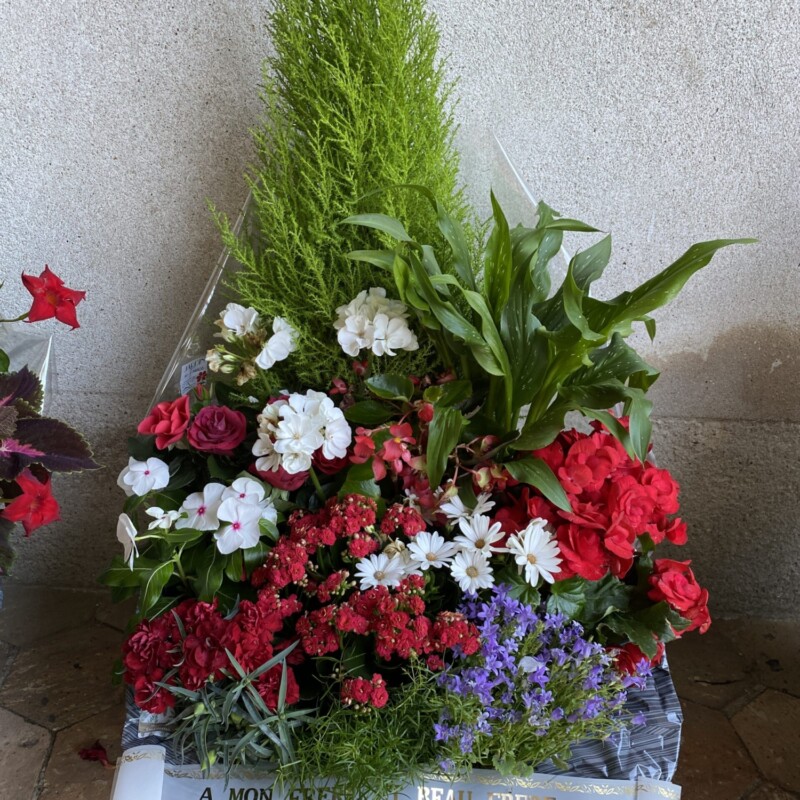 COMPOSITION PLANTES D'EXTERIEUR - FIDELITE