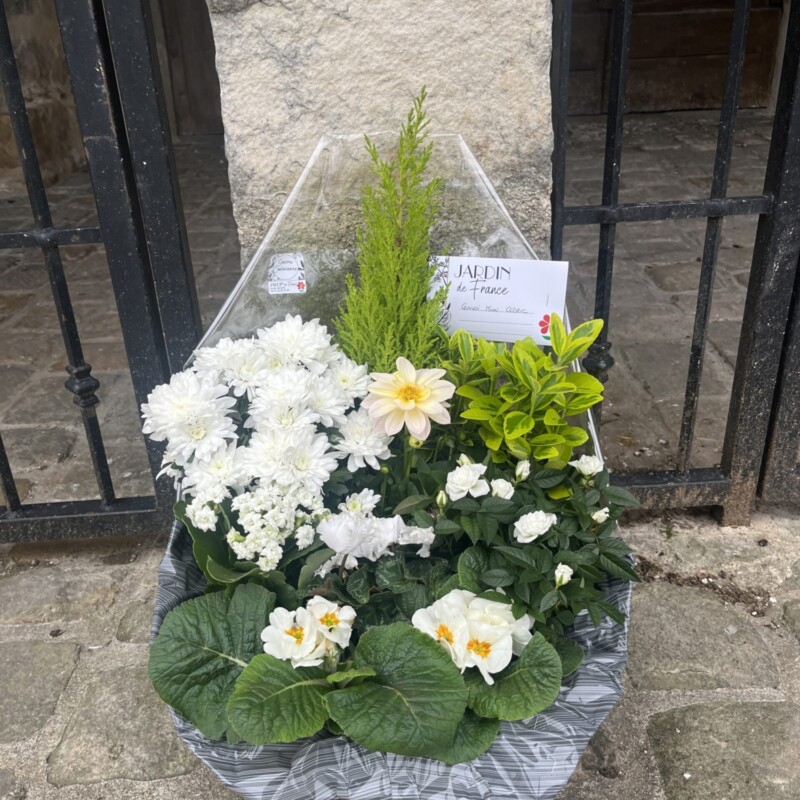 COMPOSITION PLANTES D'EXTERIEUR - PURETE