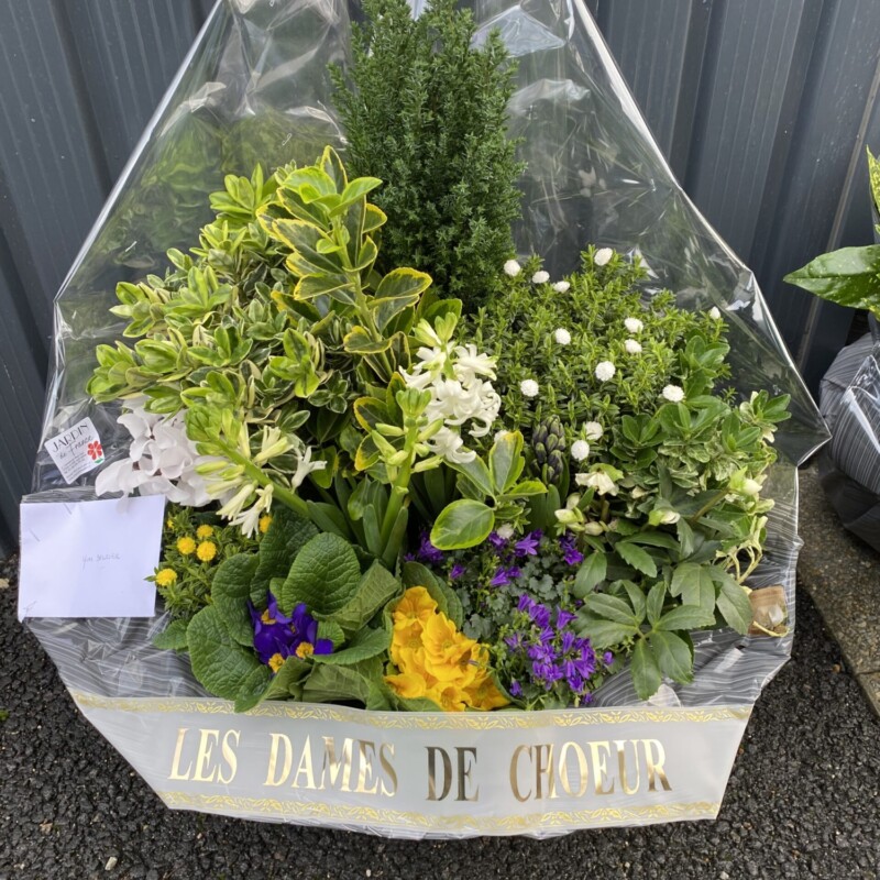 COMPOSITION PLANTES D'EXTERIEUR - PREVENANCE