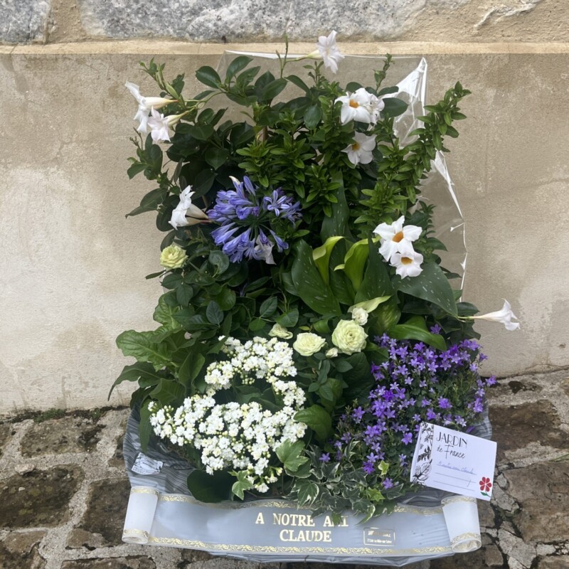 COMPOSITION PLANTES D'EXTERIEUR - ETERNITE