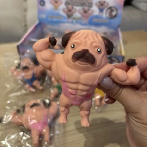 SQUISHY CHIEN MUSCLE