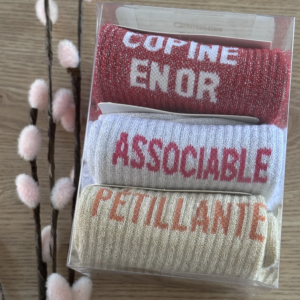COFFRET COPINE EN OR CHAUSSETTE A PAILLETTES